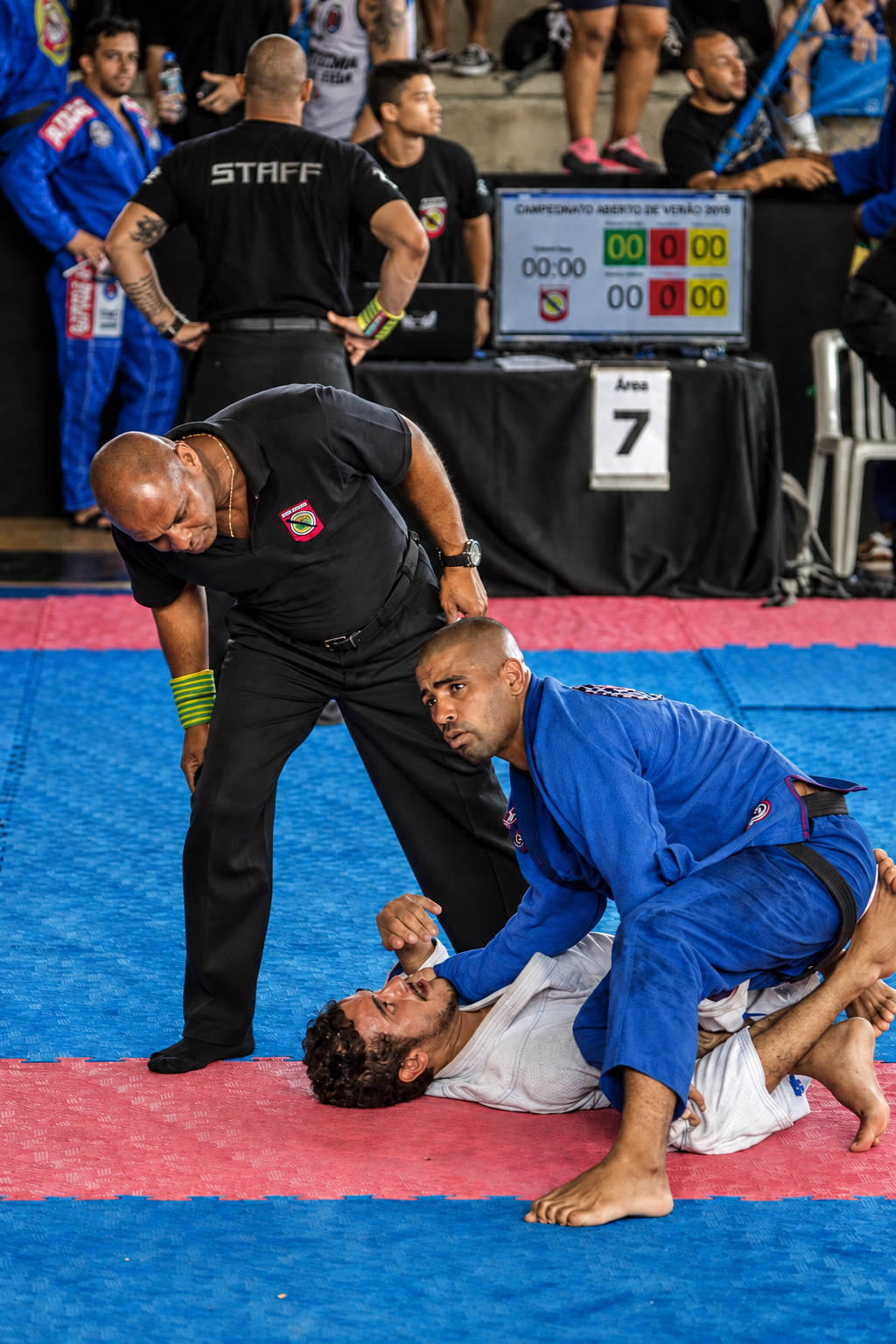 Le Tatami comme Microsociété : La Philosophie du Jiu-Jitsu et le Contrat Social